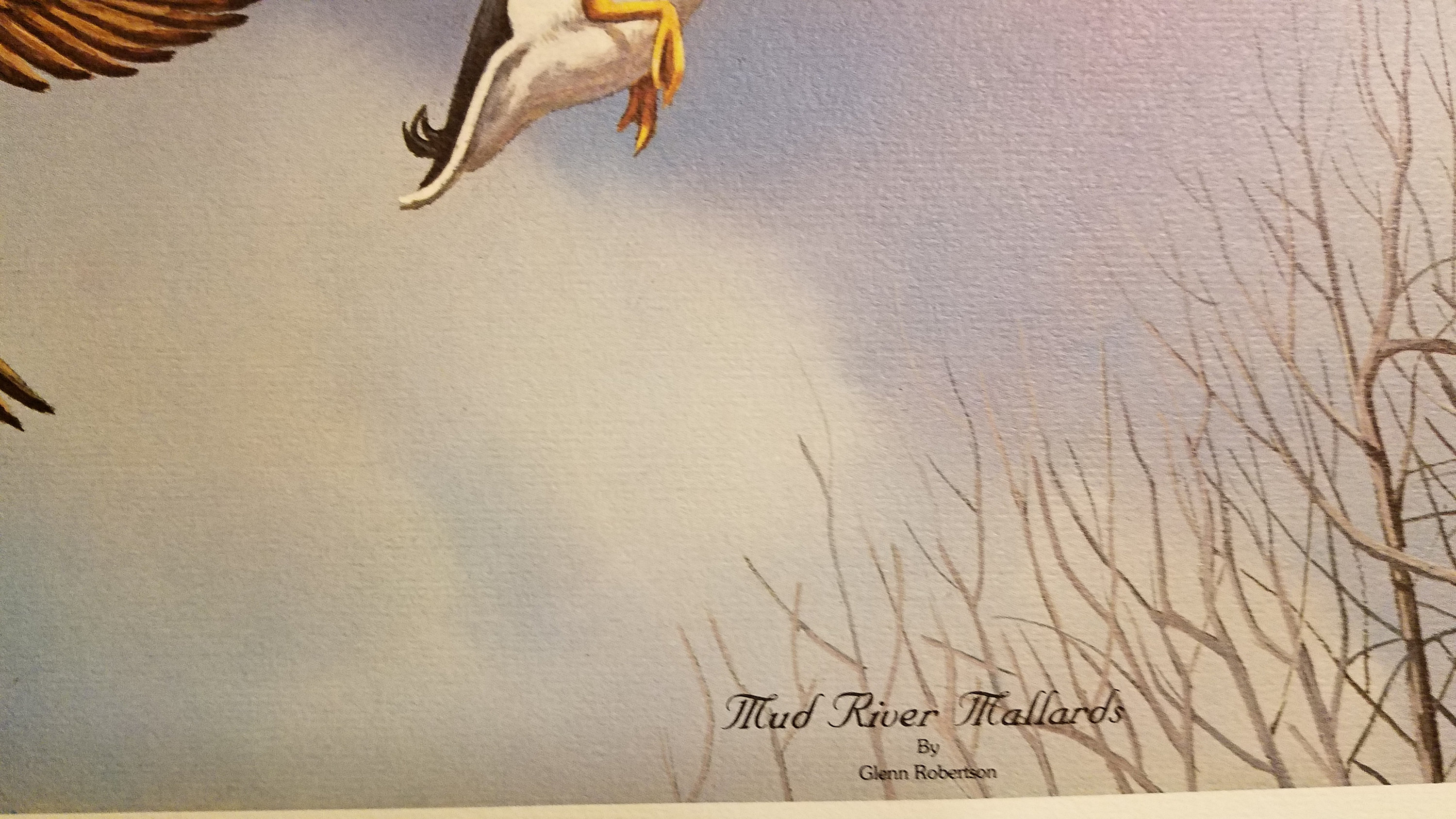 Glenn Robertson Art Print Mud River Mallards LE Signed Etsy