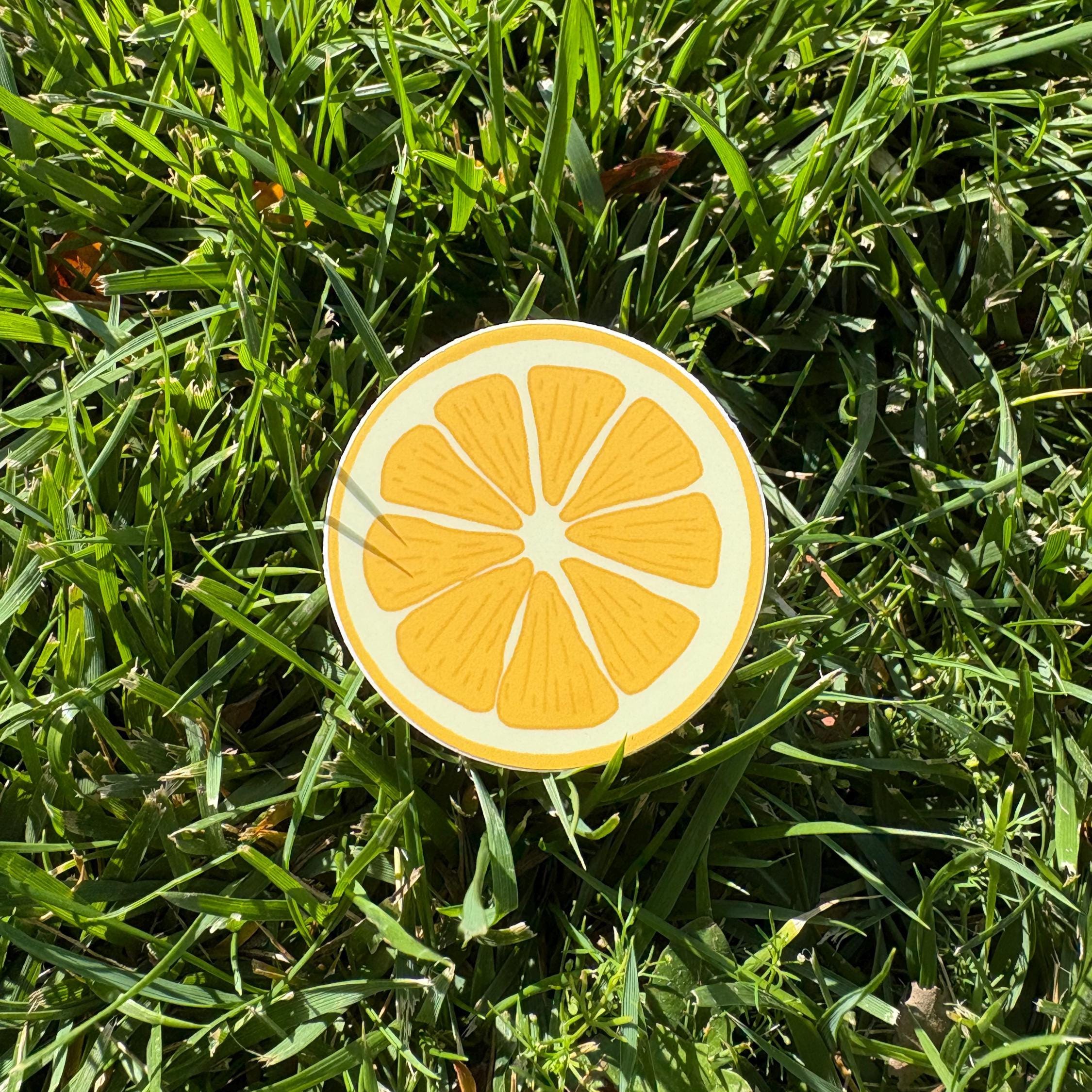 Large Lemon Sticker Lemon Vinyl Sticker - Etsy