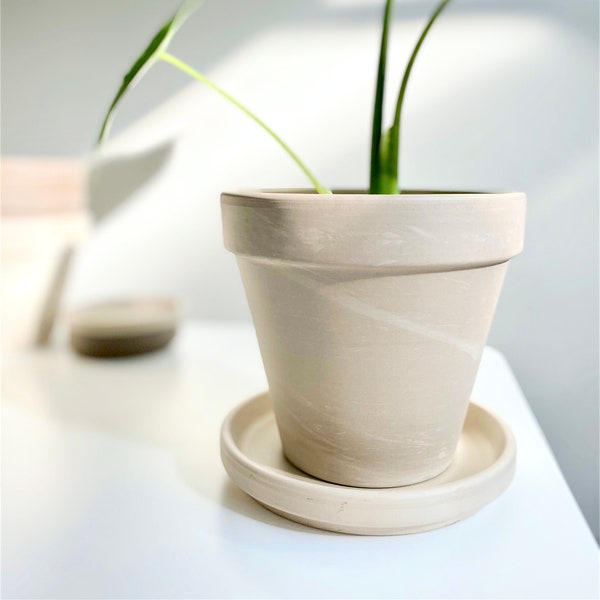 Modern White Terra Cotta Planter, 4", Ivory Clay Pot, Granite Marble, Stone Textured, Scandinavian, Minimal, Vintage, Indoor Garden