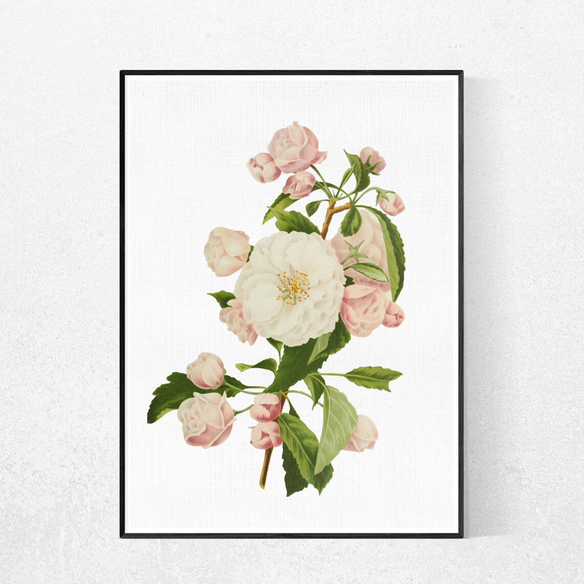 PRINTABLE WALL ART apple Blossom Flower Poster Etsy