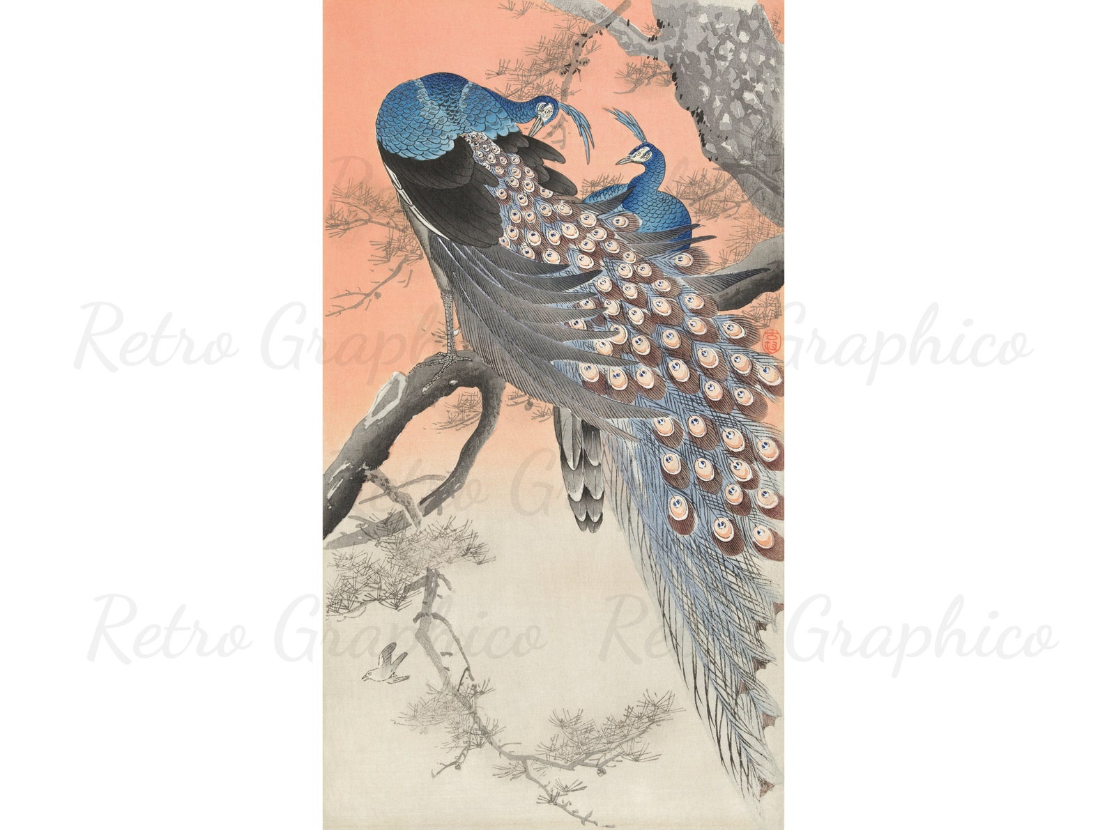 PRINTABLE WALL ART Art Nouveau 8 X Peacock Prints Set 1 Etsy