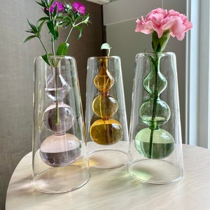 Glass Bubble Vase | Double Walled Glass | Hydroponic Vase | Avocado Vase