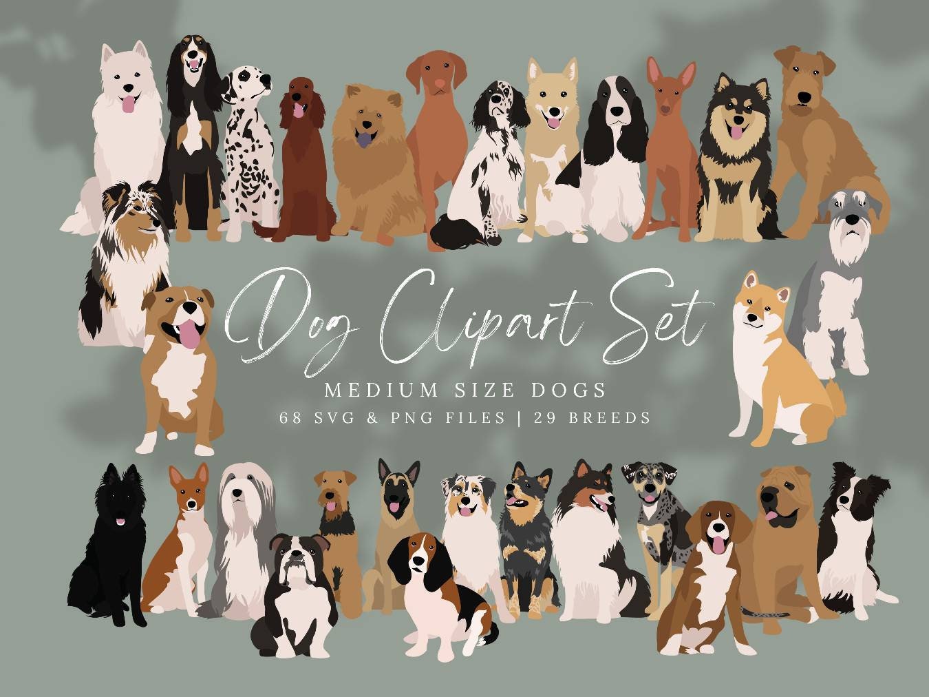 What Is Considered A Medium Dog Breed