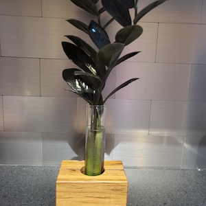 Prêt pour le printemps ? plantez !