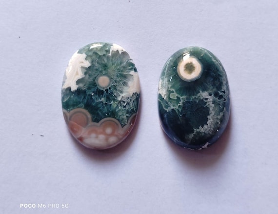 Ocean jasper cabochons 2pcs Lot. 33.9Ct. ch-9.