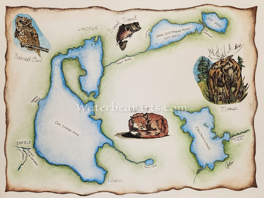 Lincoln Cold Stream Pond Maine Handillustrated Map Etsy