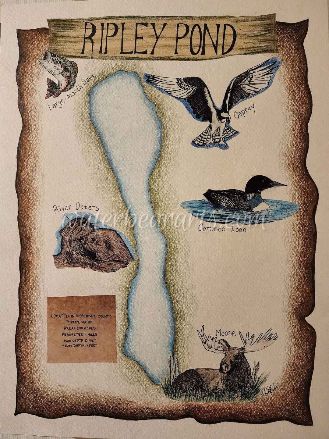 Ripley Pond Maine Handillustrated Map Etsy