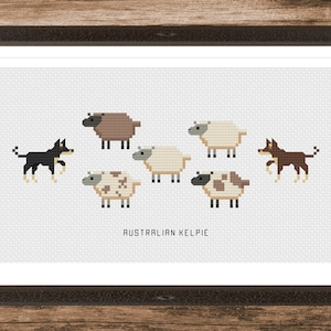 May include: A cross-stitch pattern featuring an Australian Kelpie herding sheep. The pattern includes two black and tan Kelpies, three brown and white sheep, and one white sheep. The text "AUSTRALIAN KELPIE" is printed below the image.