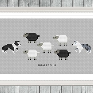 Peut inclure: Un motif de point de croix représentant deux border collies noir et blanc conduisant un groupe de moutons noir et blanc. Le texte "BORDER COLLIE" est imprimé sous l'image.