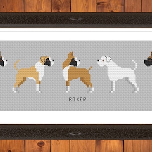 Op de afbeelding: Een ingelijst kruissteekpatroon van vijf boxerhonden in verschillende poses. De honden zijn bruin, wit en gestroomd. De achtergrond is grijs en de tekst "BOXER" is onder de honden gedrukt.