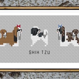 Op de afbeelding: Vijf Shih Tzu honden op een rij, elk met een ander kleurpatroon en een strik op hun kop. De honden staan op een grijze achtergrond met de tekst "SHIH TZU" eronder.