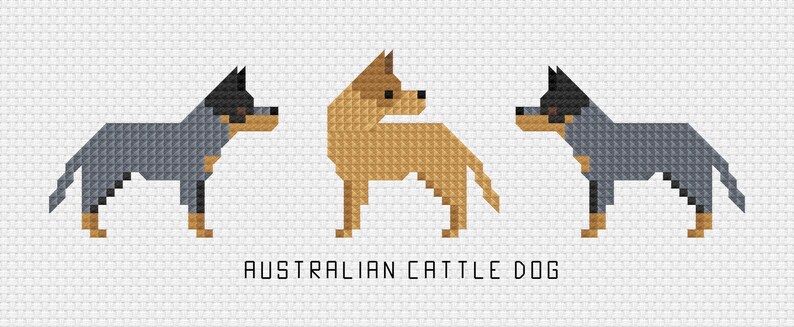 Australian Cattle Dog Red Heeler/Blue Heeler Tiny Dog Breed Cross Stitch Pattern Digital Download PDF image 2