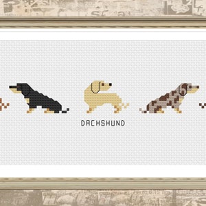Könnte beinhalten: Ein Kreuzstichmuster mit fünf verschiedenen Dackeln in verschiedenen Farben, darunter Braun, Schwarz, Creme und Grau. Das Muster ist gerahmt und das Wort "Dackel" steht unter den Hunden.