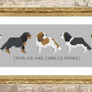 May include: A cross-stitch pattern featuring five Cavalier King Charles Spaniels in different colors and poses. The pattern is framed in a gold frame and the text "Cavalier King Charles Spaniel" is printed below the dogs.