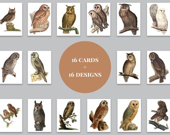 mixed set of 5, blank with envelope seals Owl Greeting Card Set