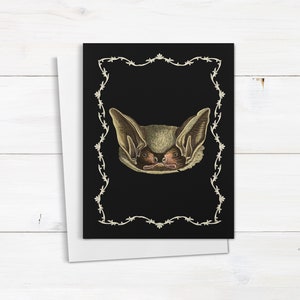 Gotyckie karty okolicznościowe z głową nietoperza, 10 ilustracji nietoperza w stylu vintage, wiktoriańskie karty nietoperza, podziękowania za weselne czarownice A7 (ilość 10)