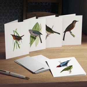 Jeu de 5 cartes de correspondance vintage oiseaux avec enveloppes | Papeterie vierge colorée avec illustrations d&#39;oiseaux | Articles en papier, respectueux de l&#39;environnement