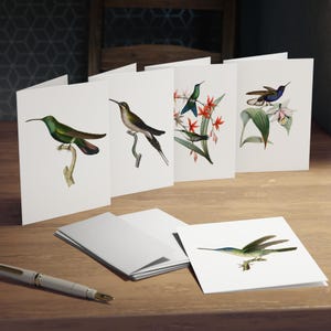 Jeu de 5 cartes de correspondance vintage Colibri avec enveloppes | Papeterie vierge fantaisiste Art hibou | Articles en papier, Cartes-cadeaux, Respectueux de l'environnement