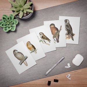 Jeu de 5 cartes de correspondance vintage hibou avec enveloppes | Papeterie vierge fantaisiste Art hibou | Toutes les occasions, Papeterie, Cartes-cadeaux, Respectueux de l'environnement