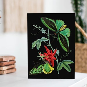 Cartes papillon forêt sombre, papillons de nuit, choses sorcières, cartes de remerciement, Dark Academia, papeterie gothique, mariage sorcière A2 (QTÉ 10)