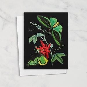 Cartes papillon forêt sombre, papillons de nuit, choses sorcières, cartes de remerciement, Dark Academia, papeterie gothique, mariage sorcière A7 (QTÉ 10)