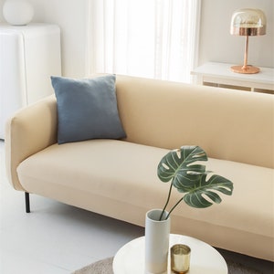 以下が含まれることがあります： 薄いベージュのソファに青いクッションと白い花瓶に緑の植物が置かれています。ソファは薄い茶色の敷物の上に置かれています。