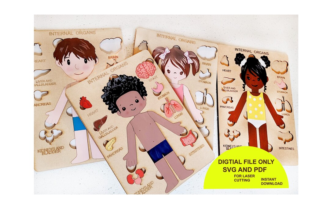 Human Body Puzzle Bundle, Kids Toys Human Puzzle Kids Anatomy Puzzle