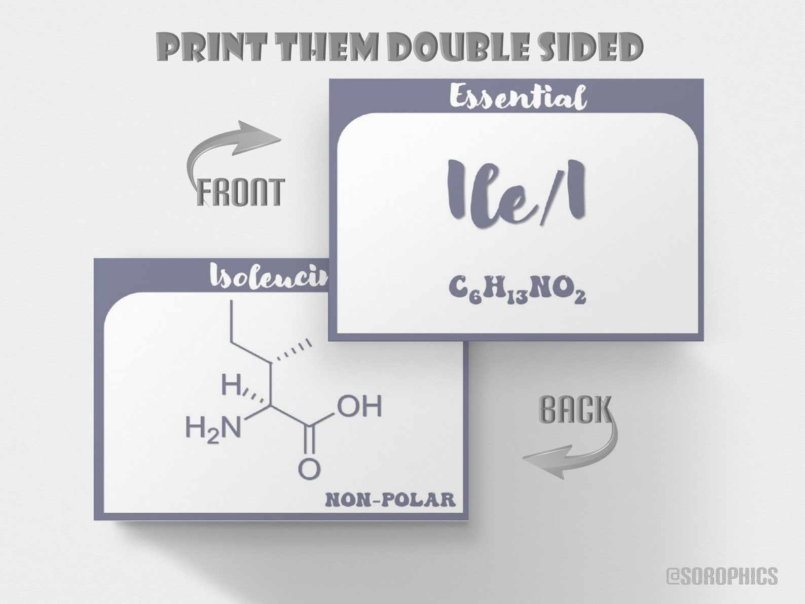 Organic Chemistry Flashcards, Printable Chemistry Flashcards, Amino