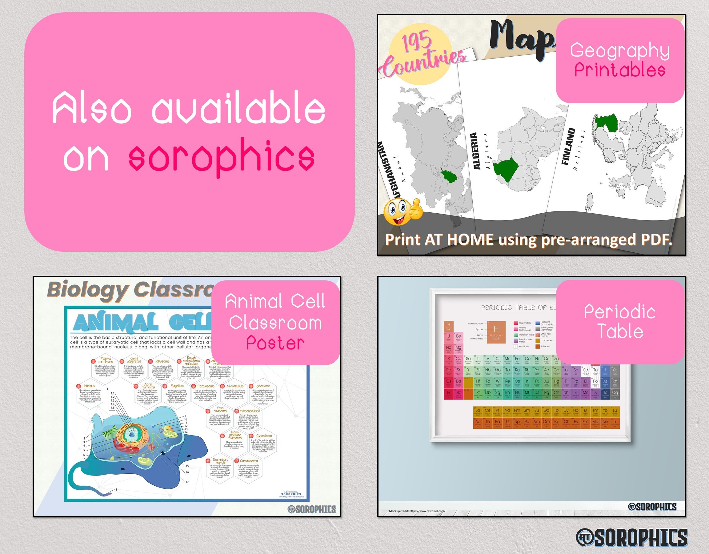 Biology Classroom Poster Printable Science Poster Biology Etsy UK