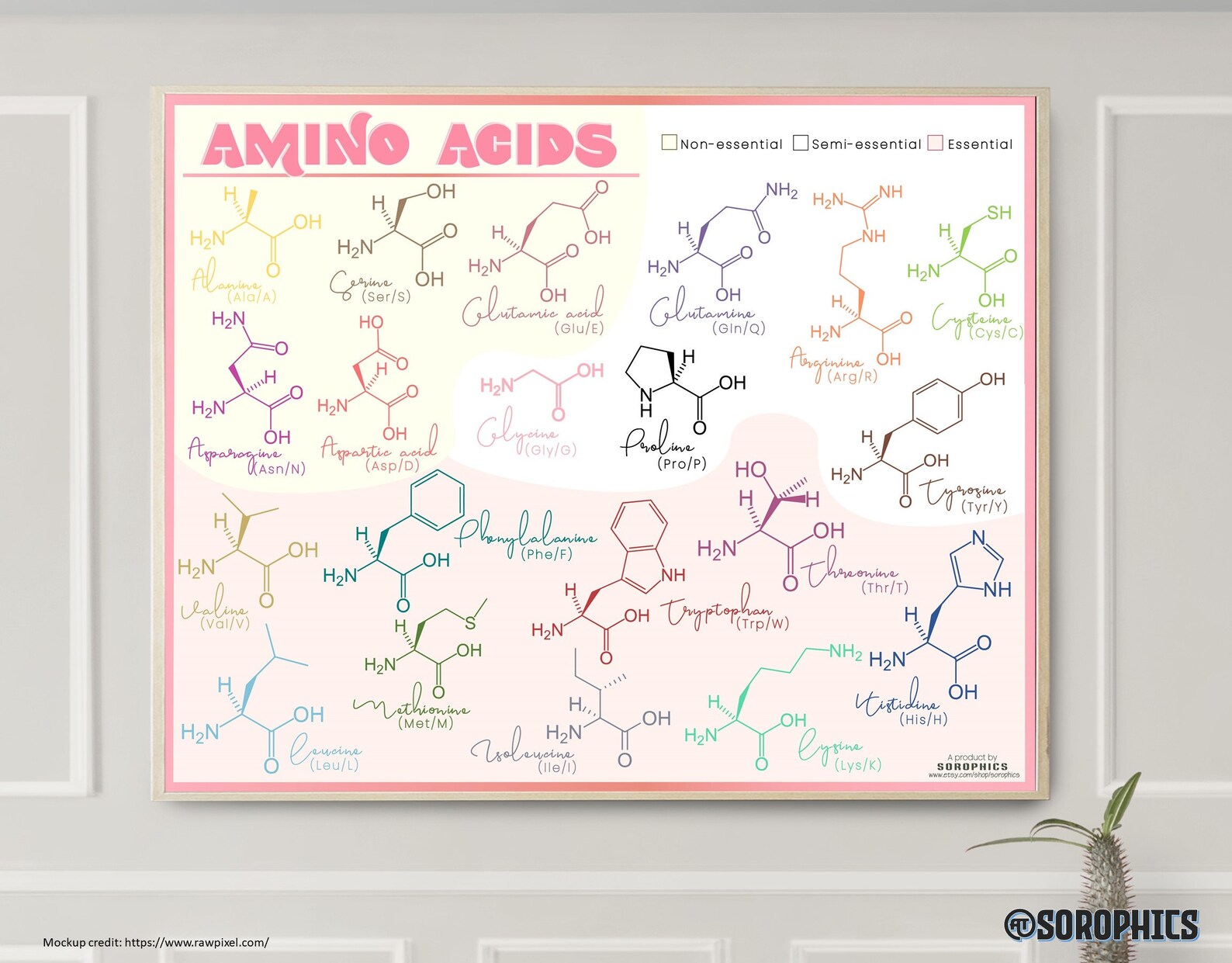 Amino Acid Poster Printable Medical Poster Organic Chemistry | Etsy