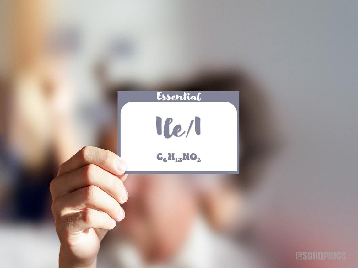Organic Chemistry Flashcards, Printable Chemistry Flashcards, Amino