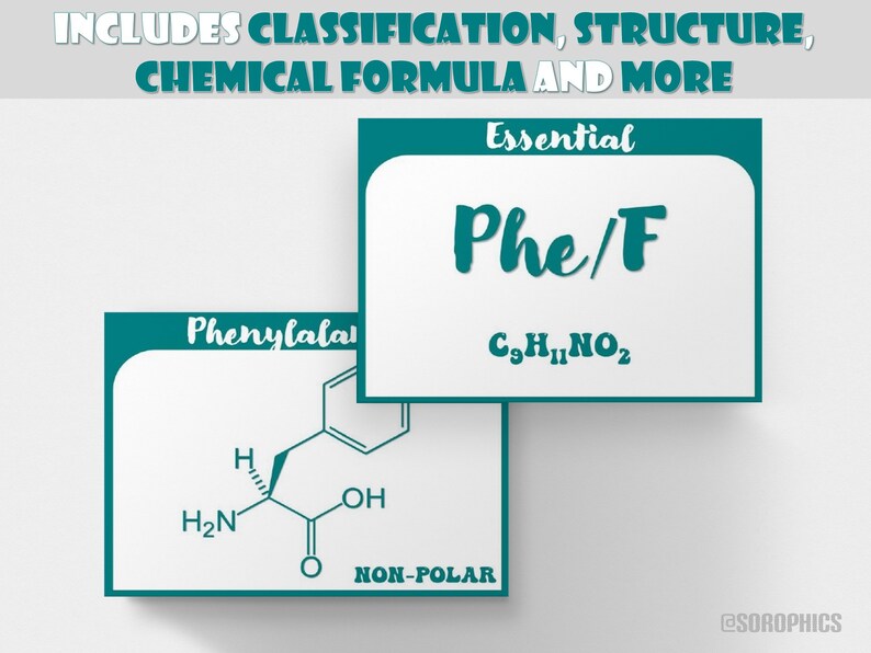 Organic Chemistry Flashcards, Printable Chemistry Flashcards, Amino