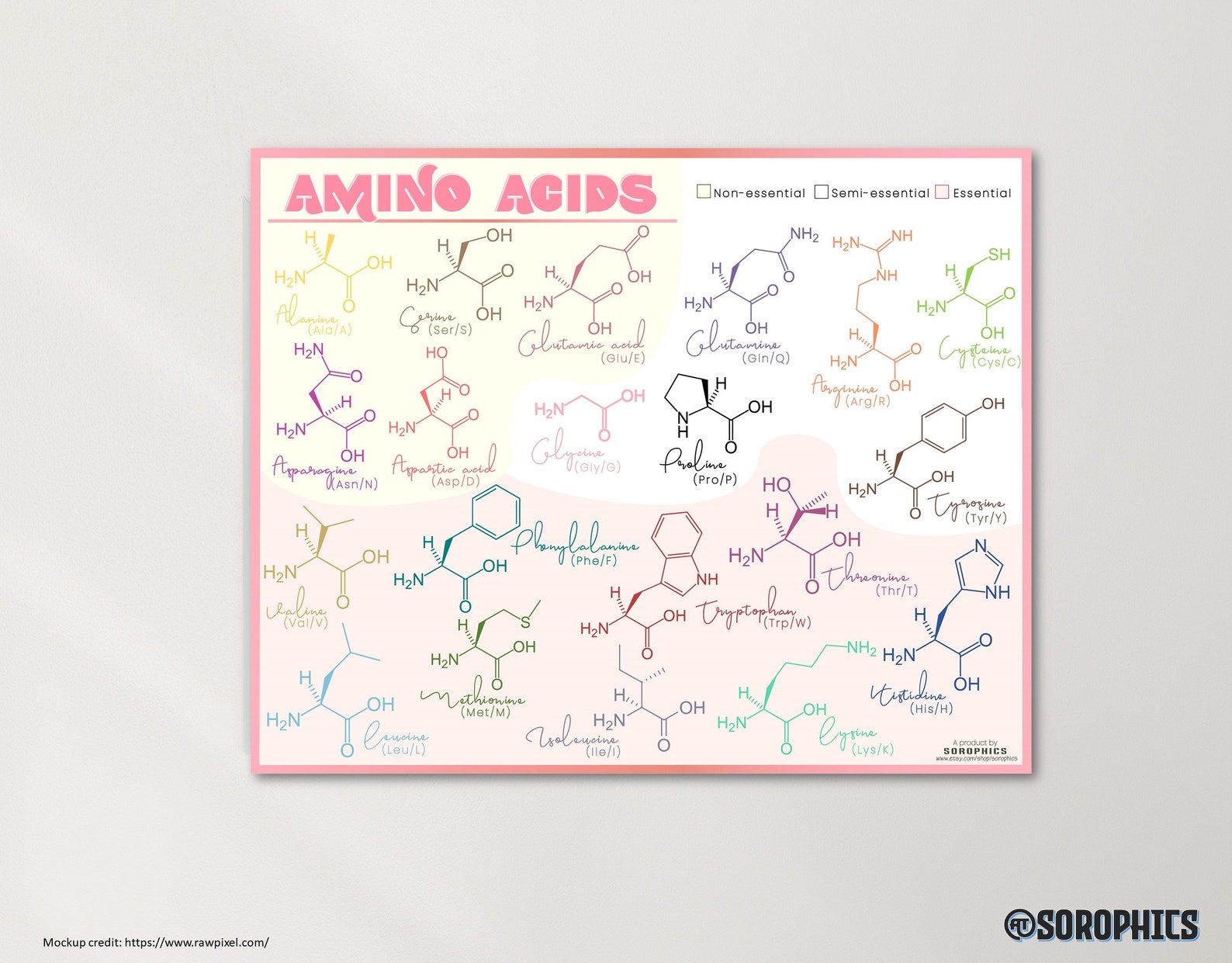 Amino Acid Poster Printable Medical Poster Organic Chemistry | Etsy