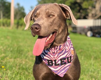 Buffalo Zubaz Dog Bandana Bills Dog 