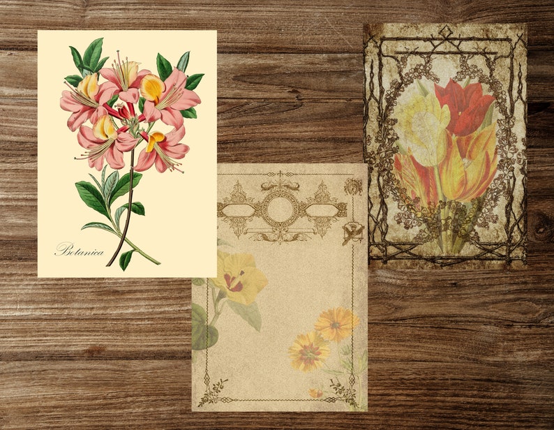 Paper Crafts,Digital download Scrapbooks Botanical Herbs Printable Pages for Junk Journals Book pages Junk journal printable kit