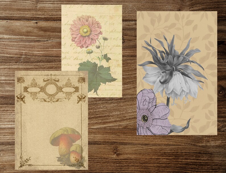 Paper Crafts,Digital download Scrapbooks Botanical Herbs Printable Pages for Junk Journals Book pages Junk journal printable kit
