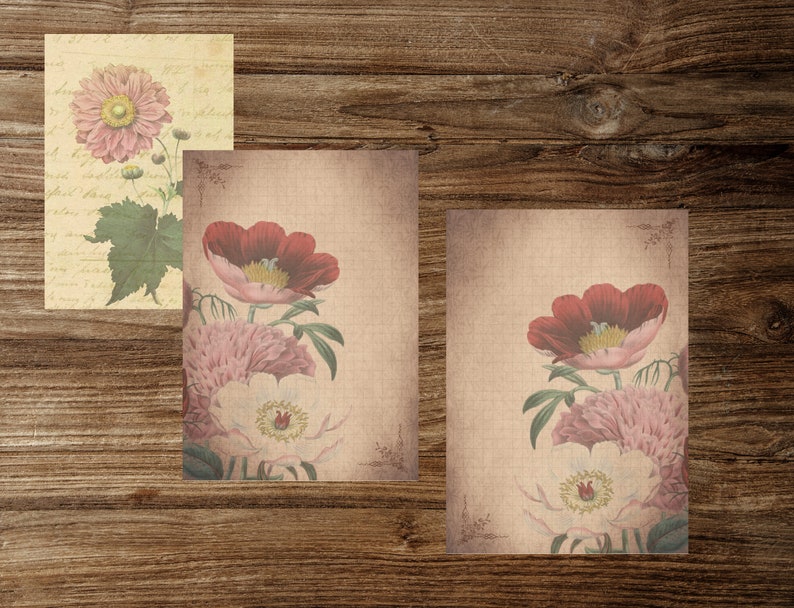 Paper Crafts,Digital download Scrapbooks Botanical Herbs Printable Pages for Junk Journals Book pages Junk journal printable kit