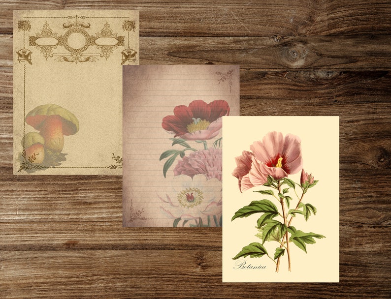 Paper Crafts,Digital download Scrapbooks Botanical Herbs Printable Pages for Junk Journals Book pages Junk journal printable kit
