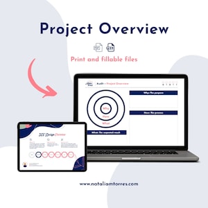 User Experience Design project overview documentation for product designers and strategists, Product management tool for audit research
