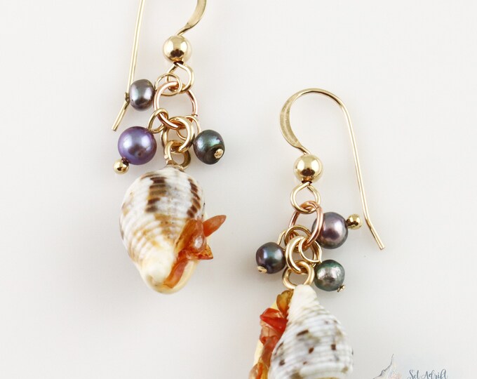 Shell Earrings Dove Shell Drop Earrings Seashell Earrings 14k Gold Filled Earrings