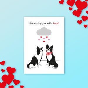 Border Collie / Biglietto di San Valentino / Ti inonda d'amore - Biglietto di auguri vuoto