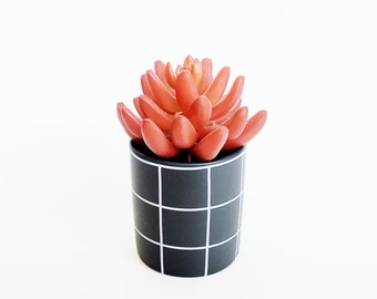 Mini Succulent Pot | Black and White Plaid Pot | Black w White Lines Planter | Ceramic Planter for Small Indoor Succulent | Windowsill Pot