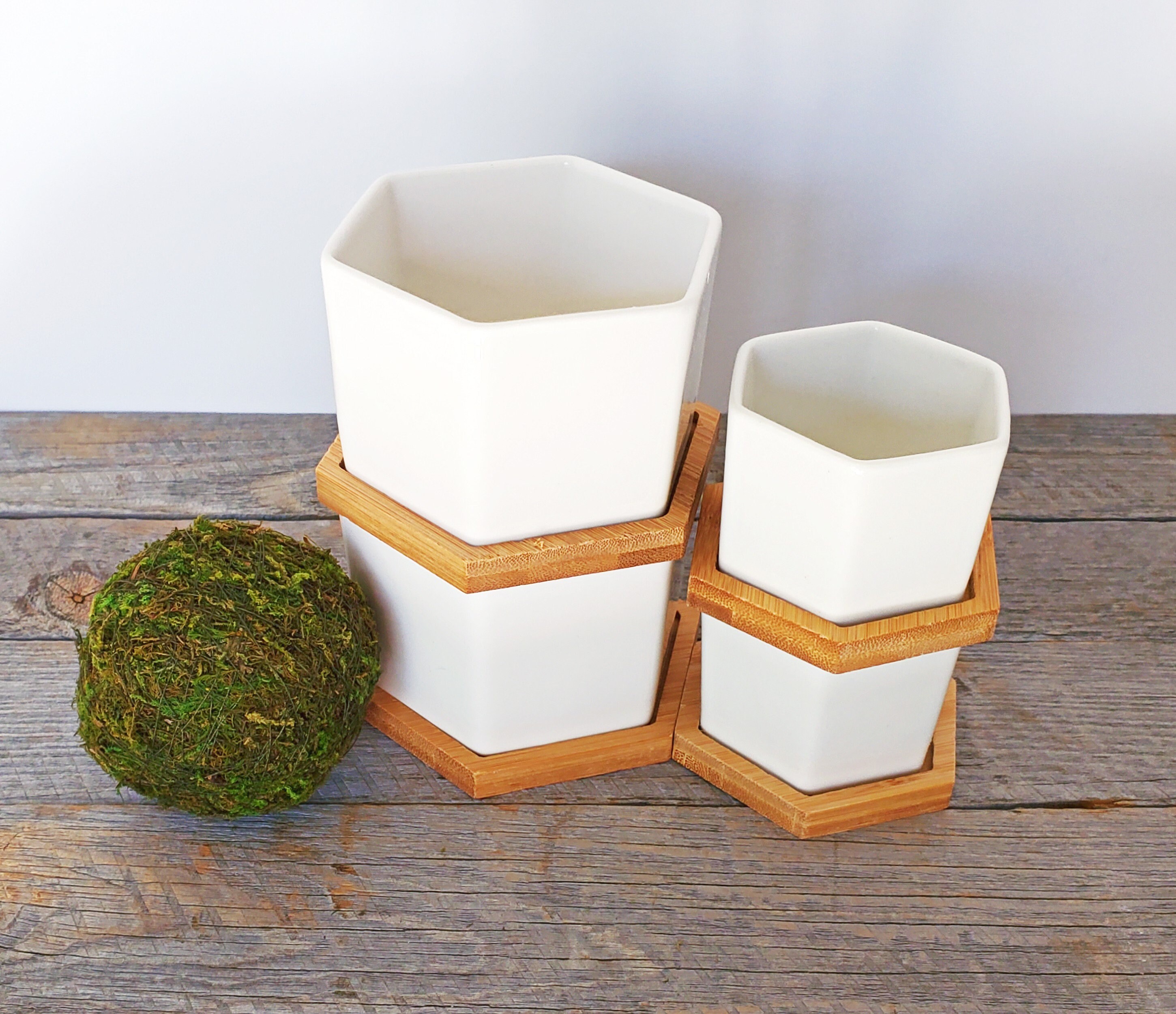 Set of 3 White Ceramic Hexagonal Planters | Small Succulent Pots With ...