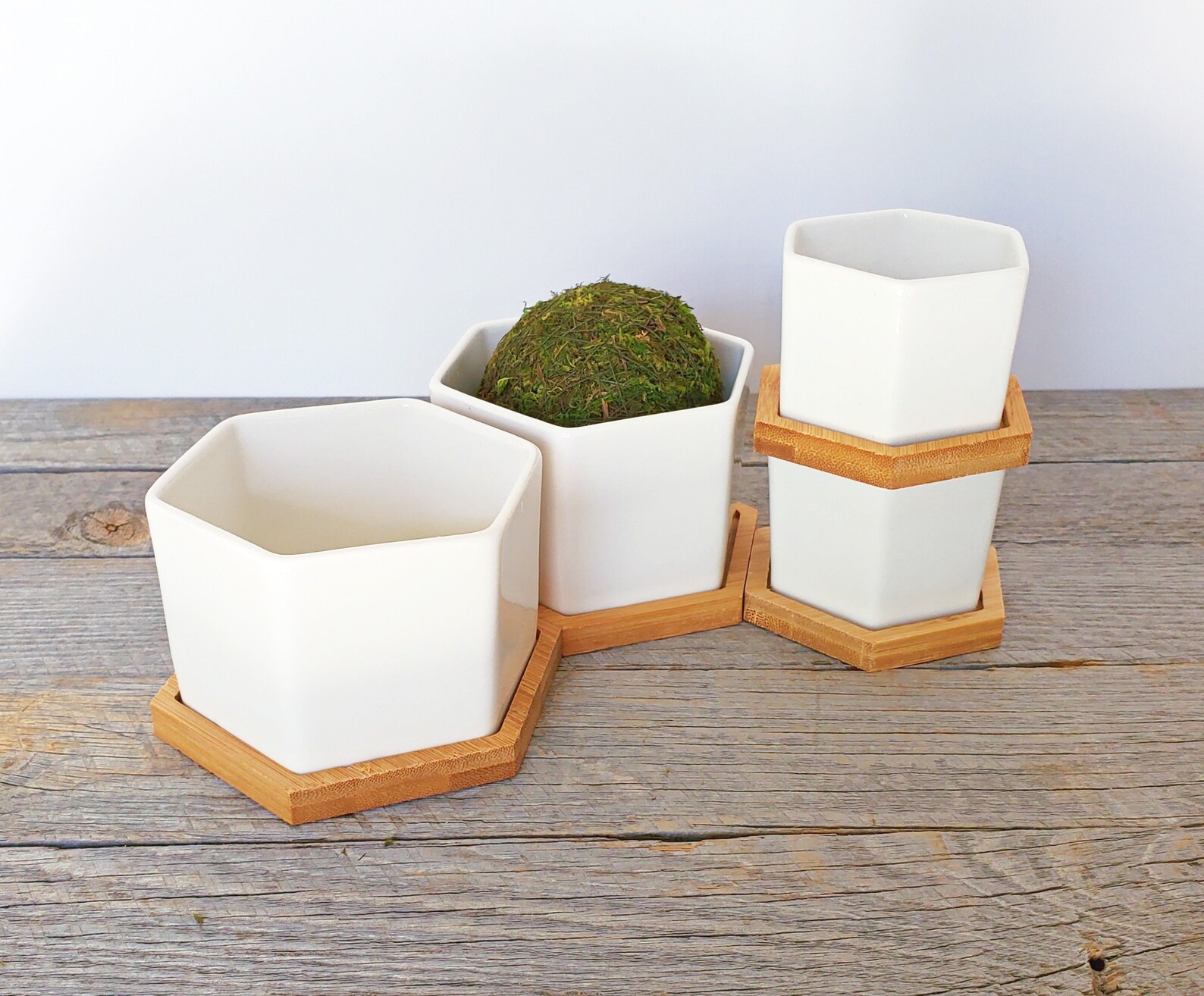 Set of 3 White Ceramic Hexagonal Planters | Small Succulent Pots With ...