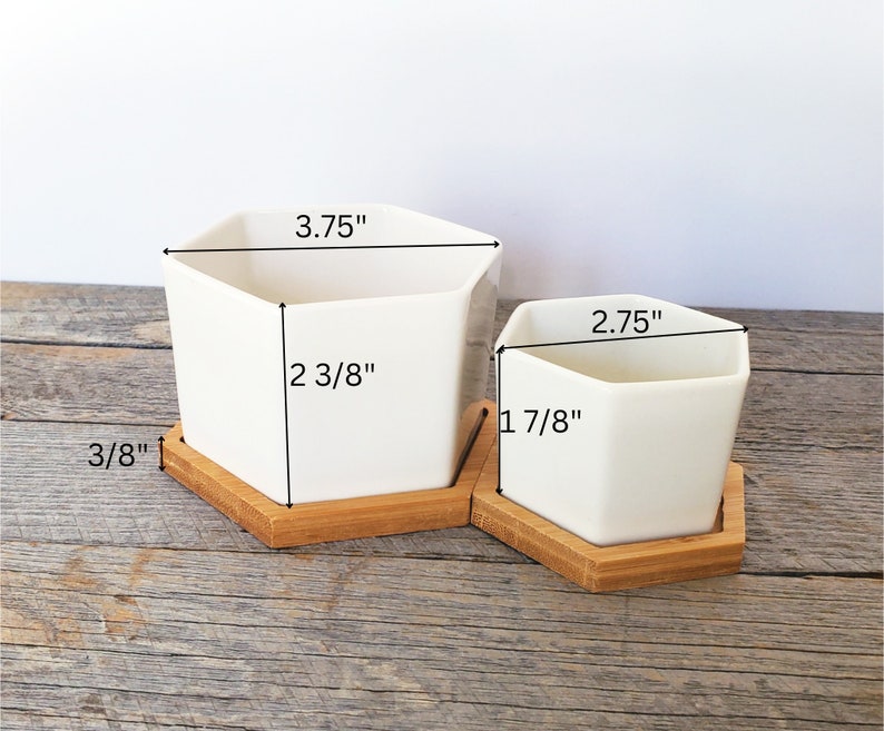 Set of 3 White Ceramic Hexagonal Planters | Small Succulent Pots With ...