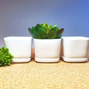 May include: Three white ceramic square planters with a single succulent plant in the center planter. The planters have a lip around the top and a slightly wider base.