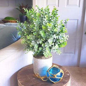 May include: A potted eucalyptus plant with green leaves sits on a round wooden table. A blue glass buoy with a rope net is next to the plant. The pot is white with a blue ombre effect.