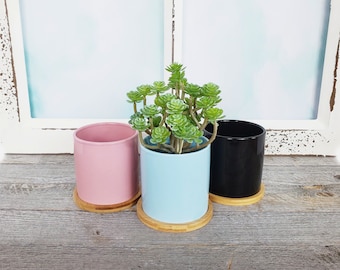 Small Succulent Pot | Pink or Light Blue or Black | Modern Cylinder Planter | Small Round Ceramic Pot With Drainage | Bamboo Drip Tray