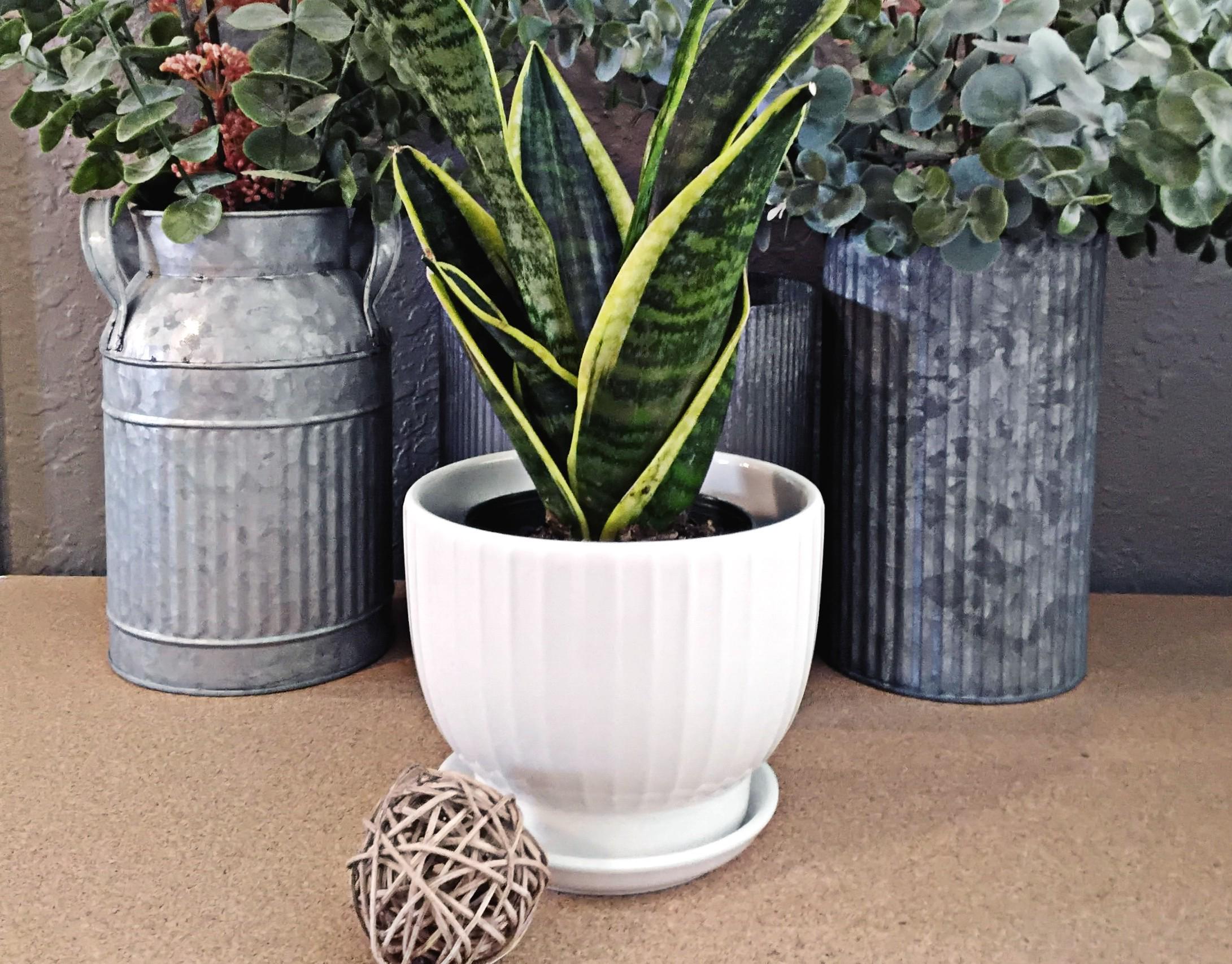 house plants indoor palm trees Artificial Palm Tree - 62.75