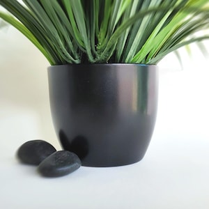May include: A black ceramic pot with vibrant green, long-leafed plants. Two small, smooth, black stones rest near the base of the pot. The pot has a glossy finish and a rounded shape, creating a modern aesthetic.